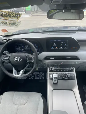 Hyundai Palissade 2020 Gris