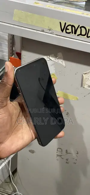 Apple iPhone 15 Pro Max 256 GB Argenté