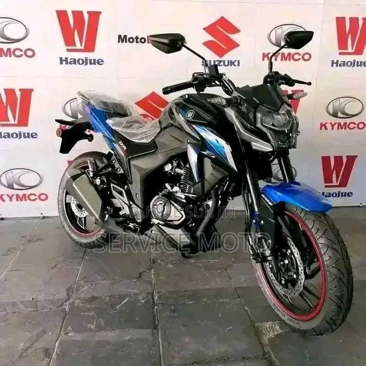 Nouveau Haojue DR300 2025 Autre