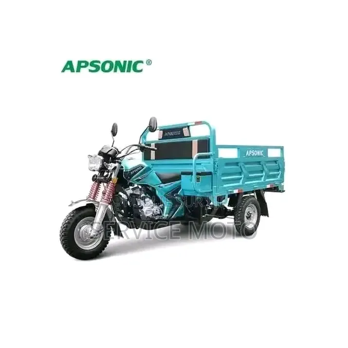 Nouveau Apsonic AP150ZH-175 2025 Autre