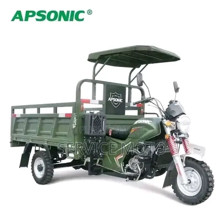 Nouveau Apsonic AP150ZH-175 2025 Autre