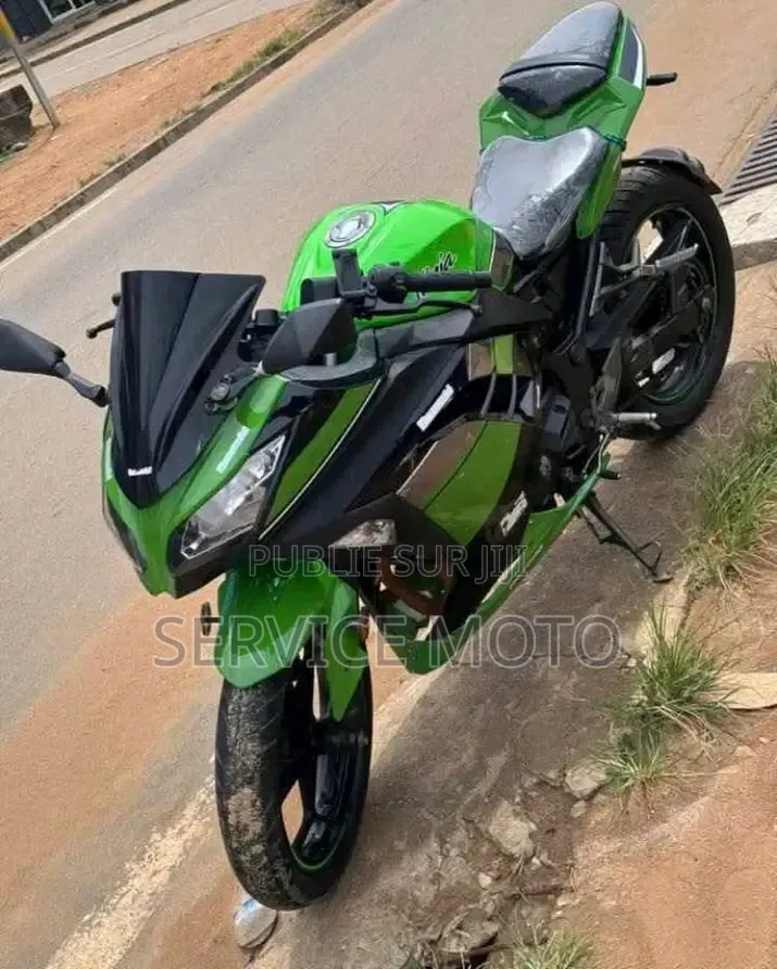 Nouveau Kawasaki EX250 2021 Autre