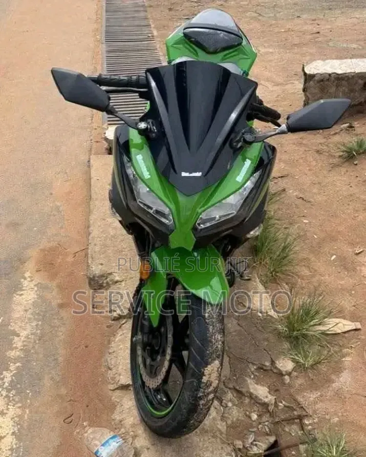 Nouveau Kawasaki EX250 2021 Autre