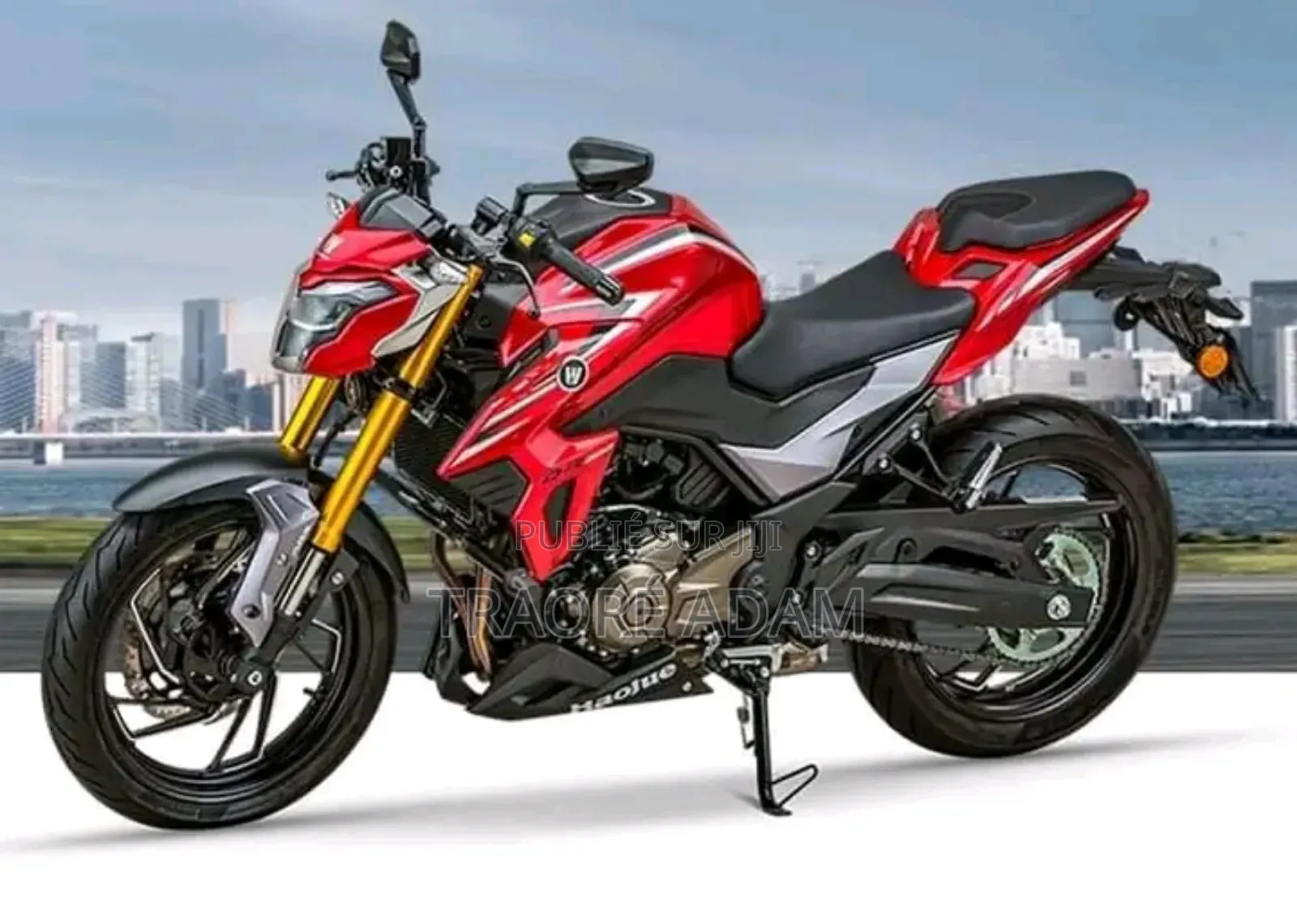 Nouveau Haojue DR300 2024 Autre