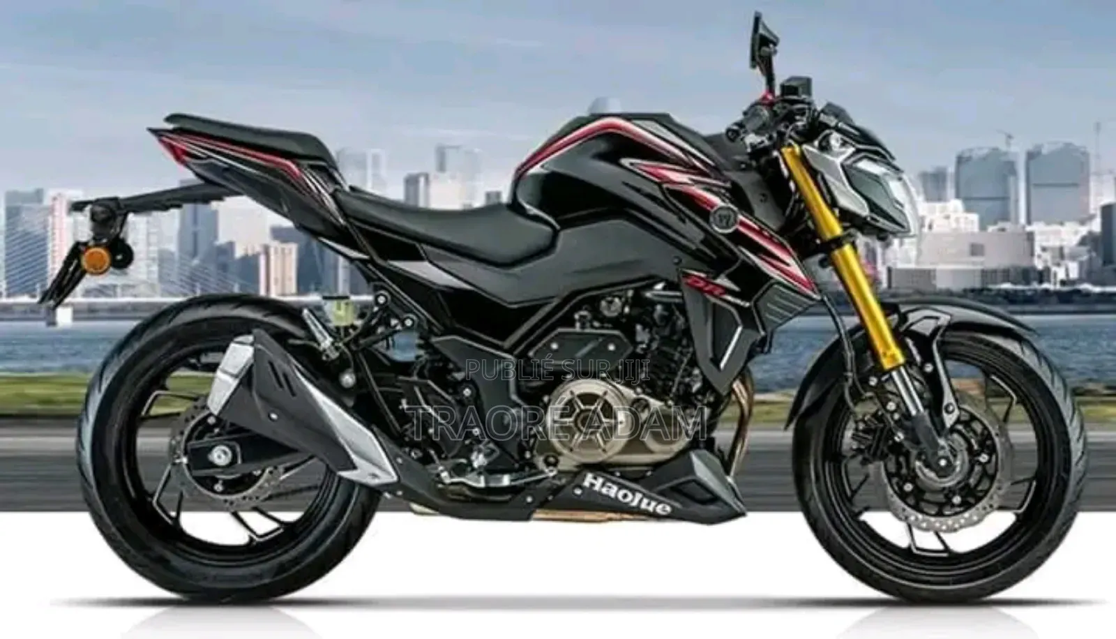 Nouveau Haojue DR300 2024 Autre