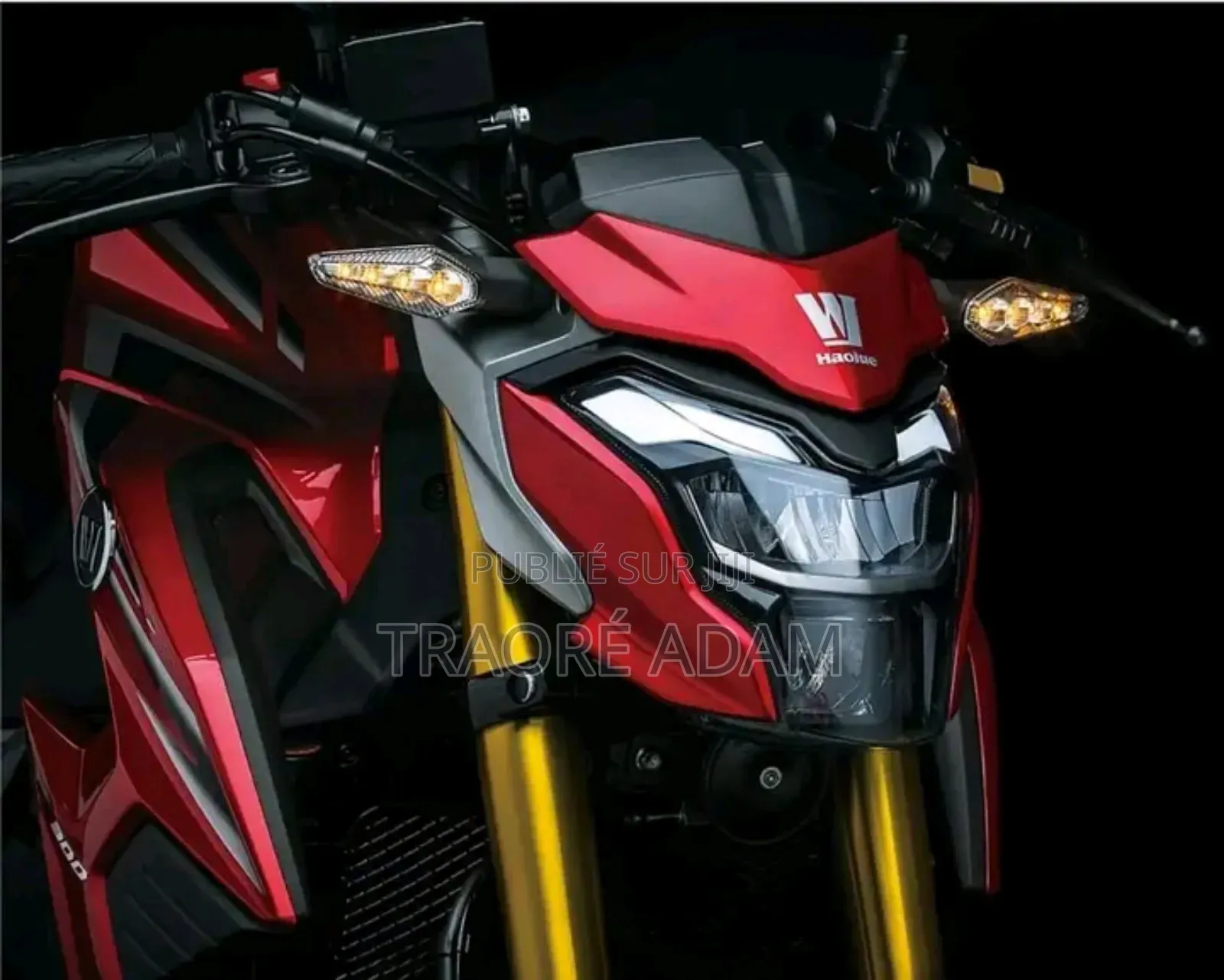 Nouveau Haojue DR300 2024 Autre