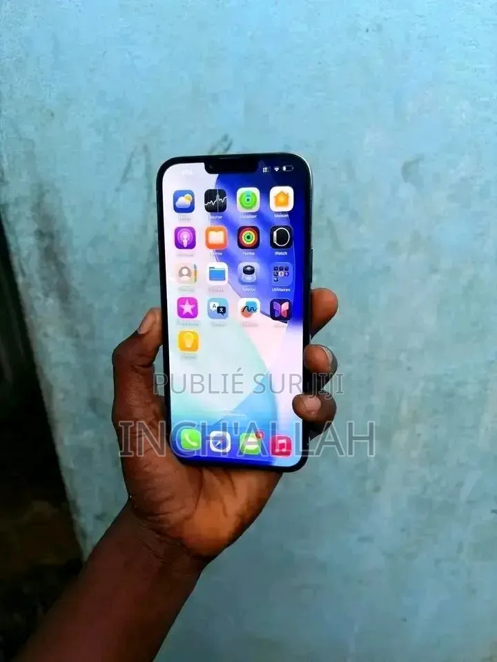 Nouveau Cat B100 Or rose