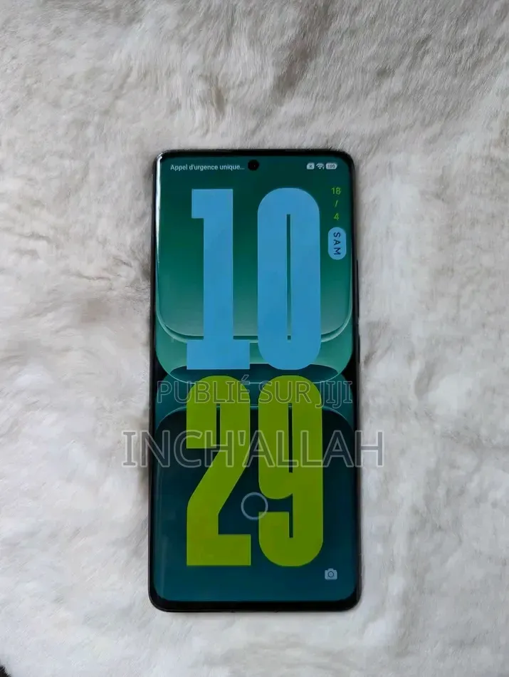 Nouveau Xiaomi 13 Pro 512 GB Gris