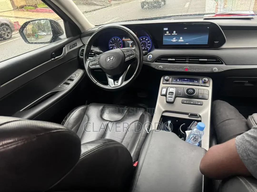 Hyundai Palissade 2020 Noir