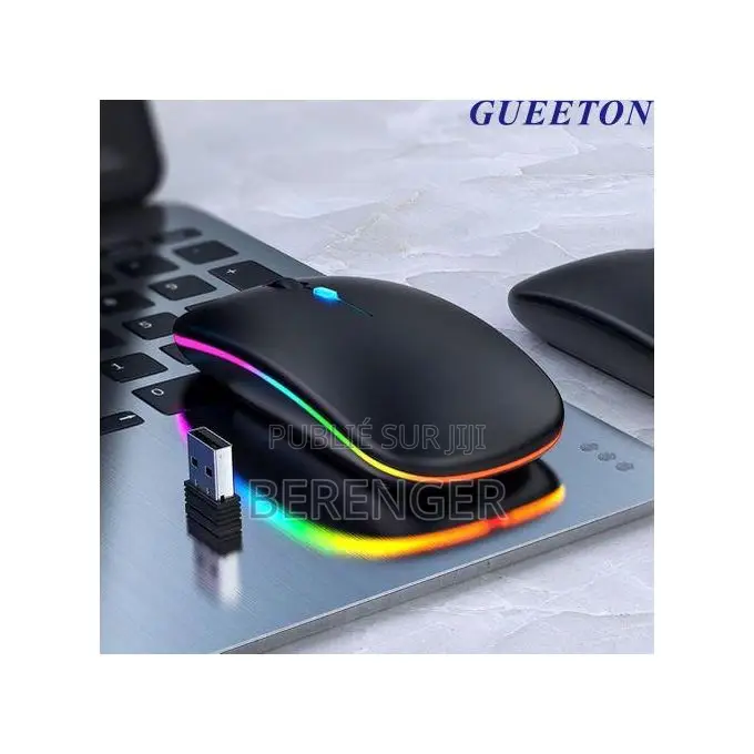 Souris Sans Fil Rechargeable 2.4g