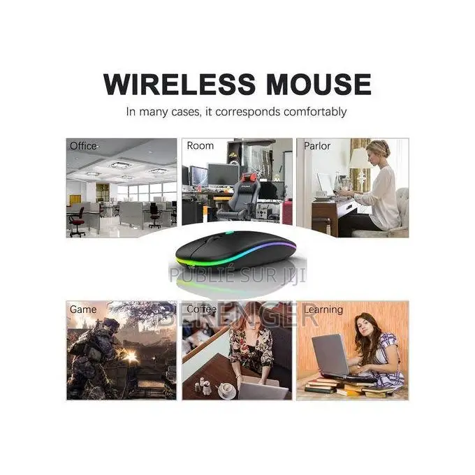 Souris Sans Fil Rechargeable 2.4g