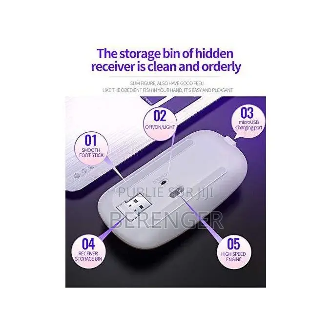 Souris Sans Fil Rechargeable 2.4g