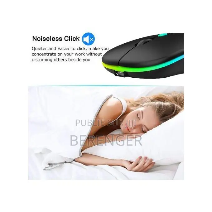 Souris Sans Fil Rechargeable 2.4g