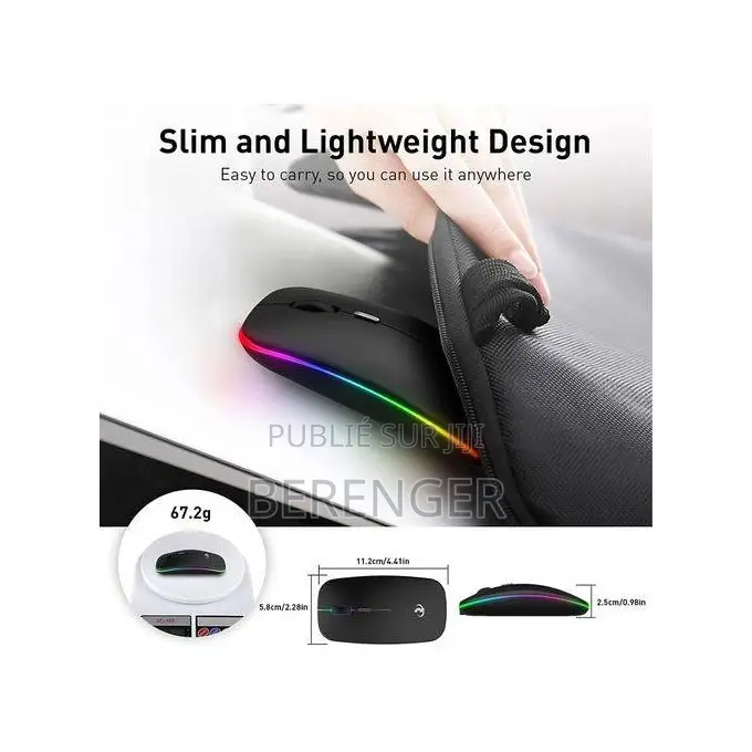 Souris Sans Fil Rechargeable 2.4g