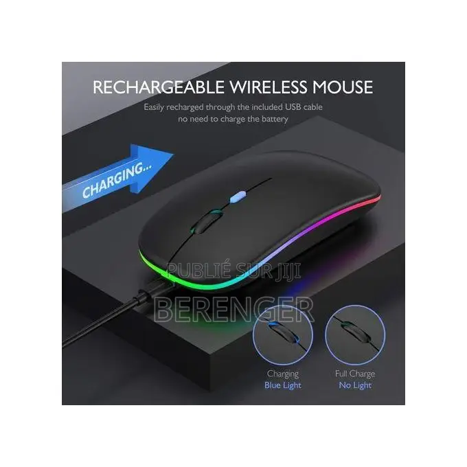 Souris Sans Fil Rechargeable 2.4g