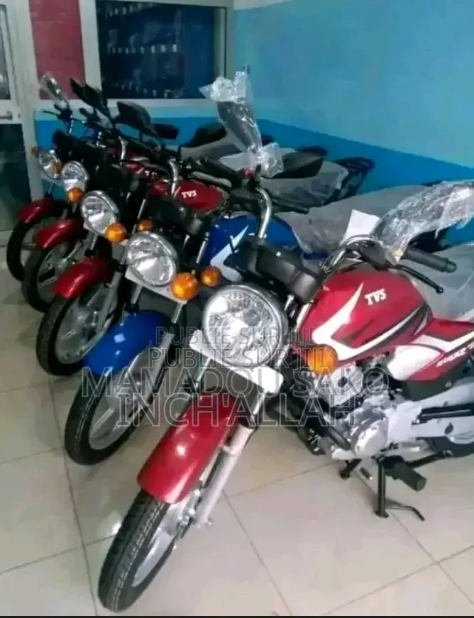 TVS HLX 125 2025 Rouge