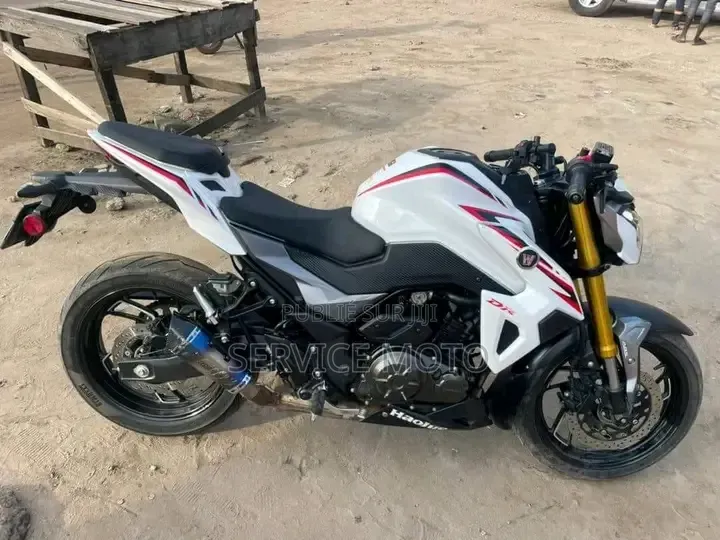 Nouveau Haojue DR300 2024 Autre