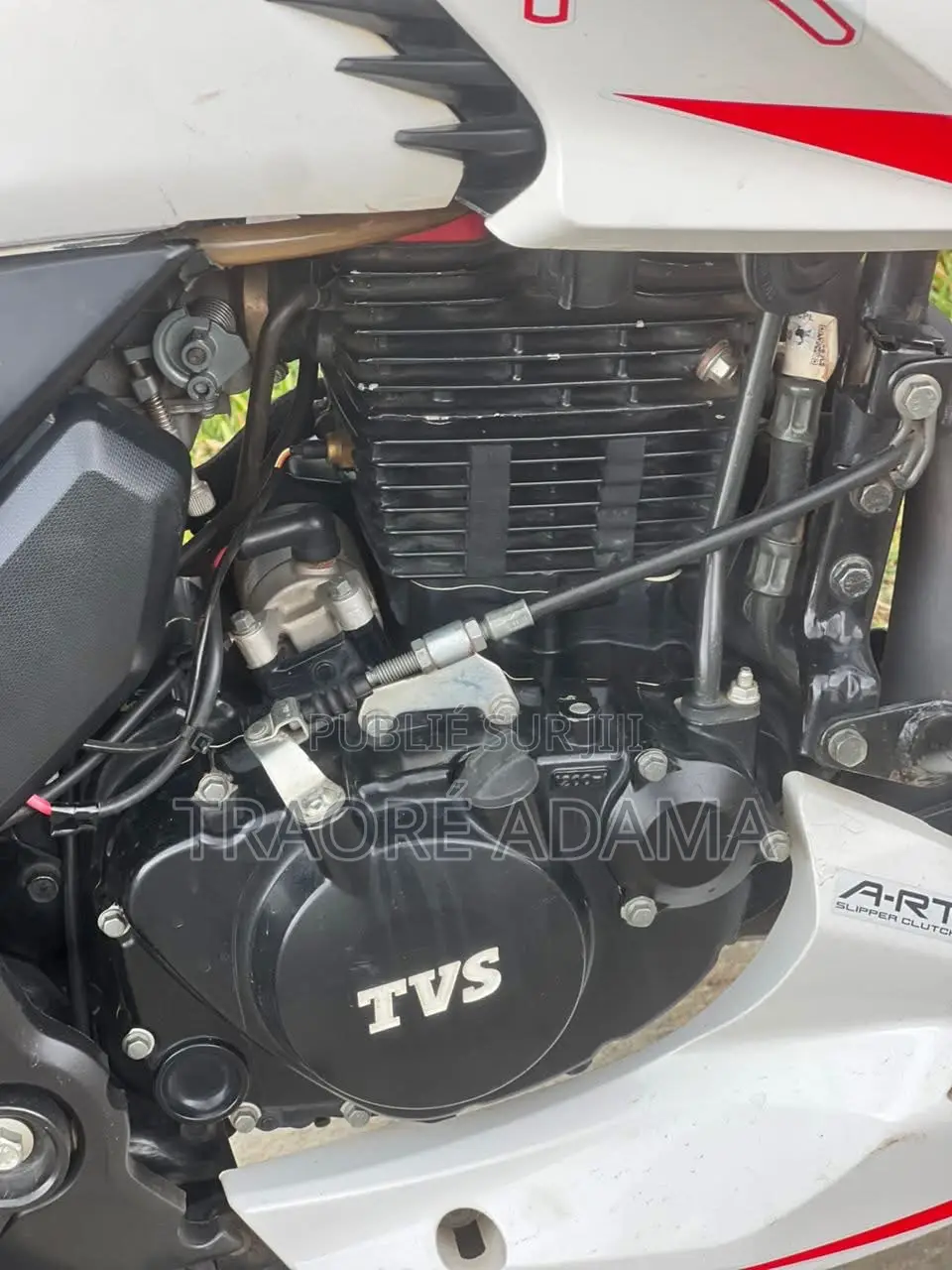 Nouveau TVS Autre 2023 Autre