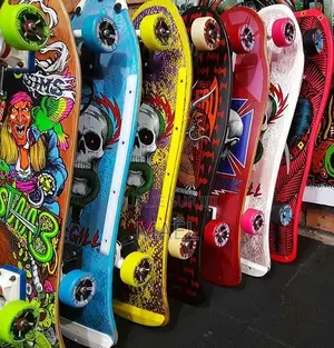 Skateboard