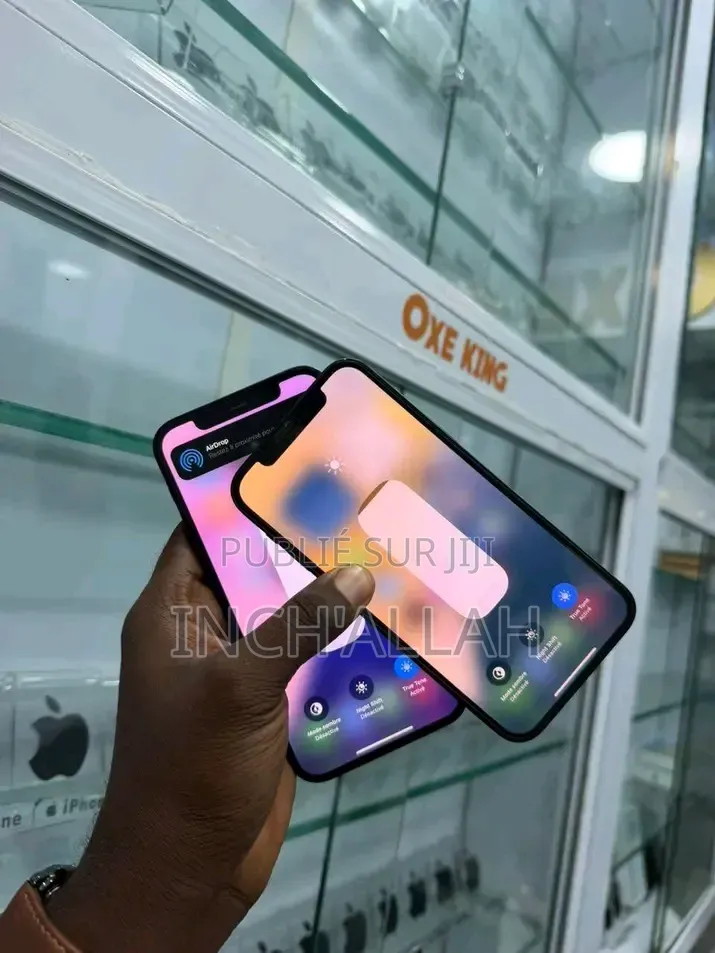 Nouveau Apple iPhone 12 128 GB Gris