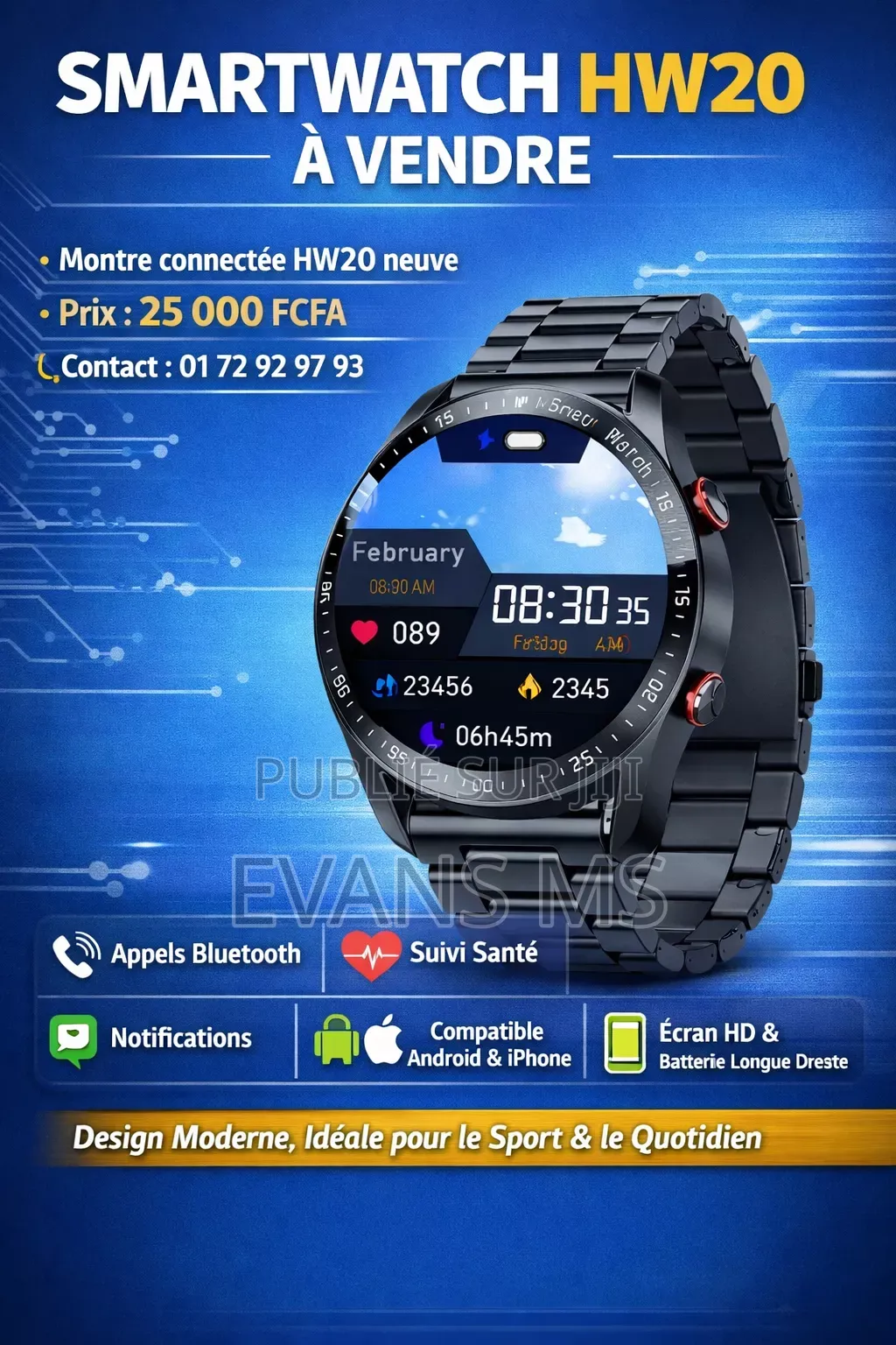 Montre Intelligente Hw20