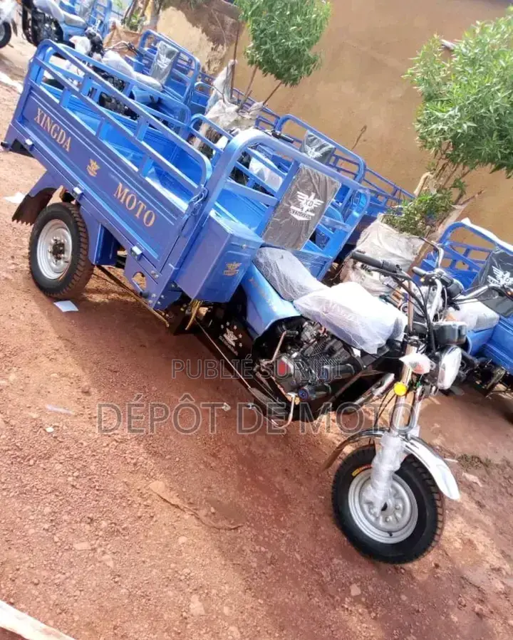 Nouveau Tricycle Autre 2023 Bleu