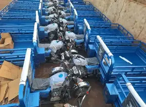 Nouveau Tricycle Autre 2023 Bleu