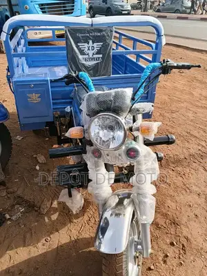 Nouveau Tricycle Autre 2023 Bleu
