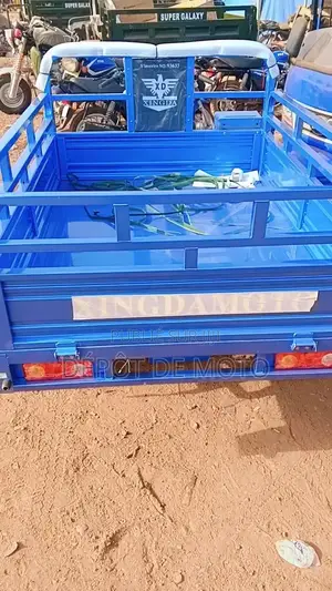 Nouveau Tricycle Autre 2023 Bleu