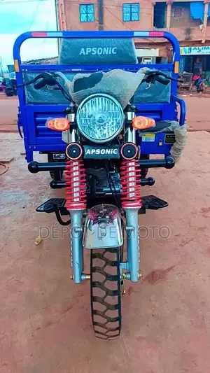 Nouveau Apsonic AP150ZH-175 2023 Bleu