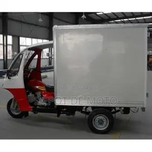 Nouveau Tricycle Autre 2023 Blanc