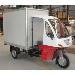 Nouveau Tricycle Autre 2023 Blanc