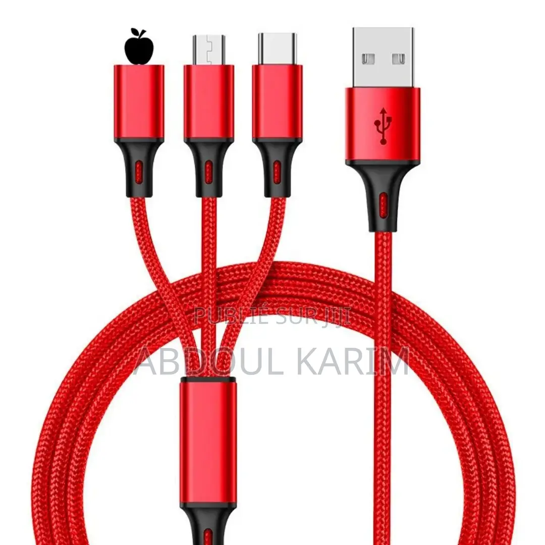Câble De Charge Universel 3-en-1 Ultra Résistant – Compatible Tous Sma