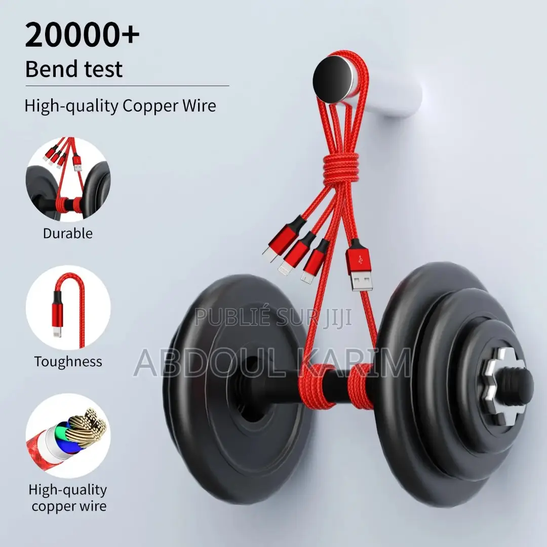 Câble De Charge Universel 3-en-1 Ultra Résistant – Compatible Tous Sma