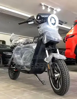 Nouveau Arche Vector 2023 Gris