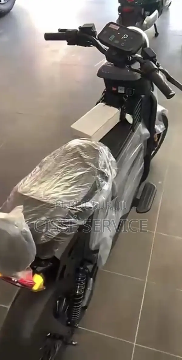 Nouveau Arche Vector 2023 Gris