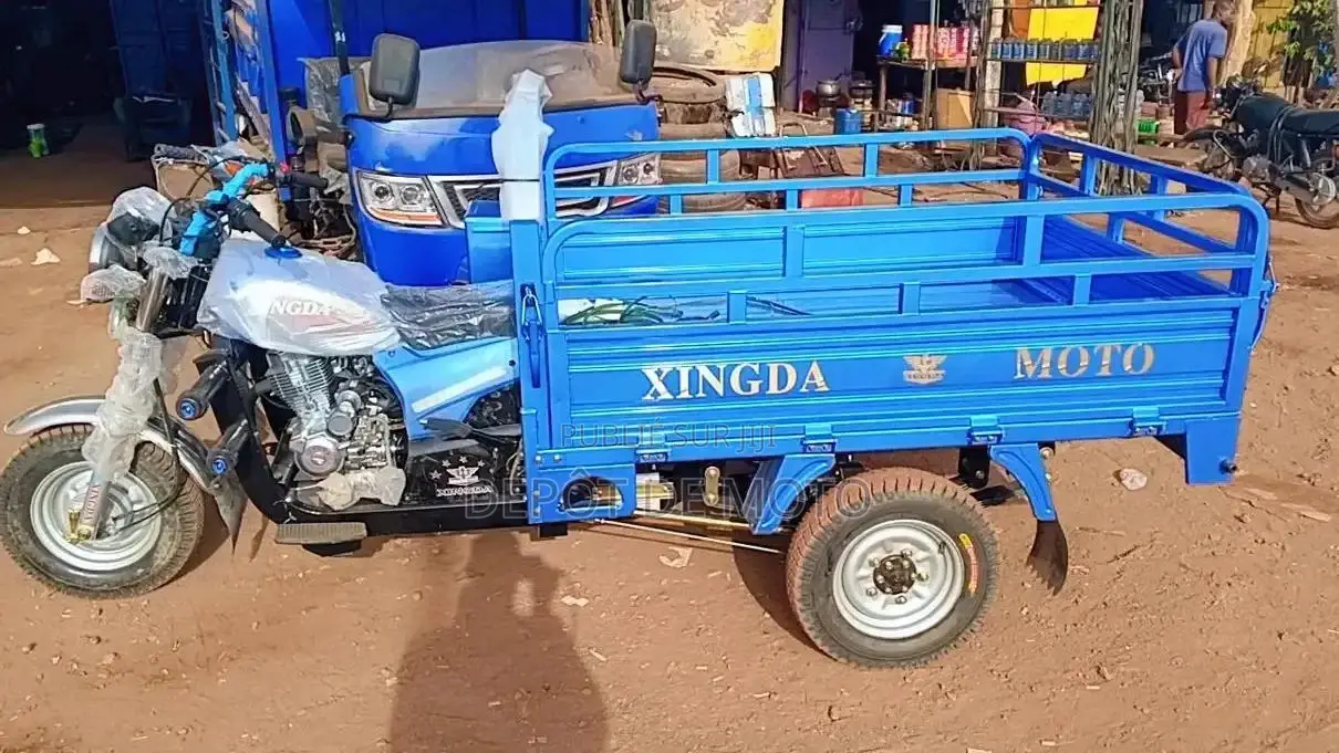 Nouveau Tricycle Autre 2023 Bleu