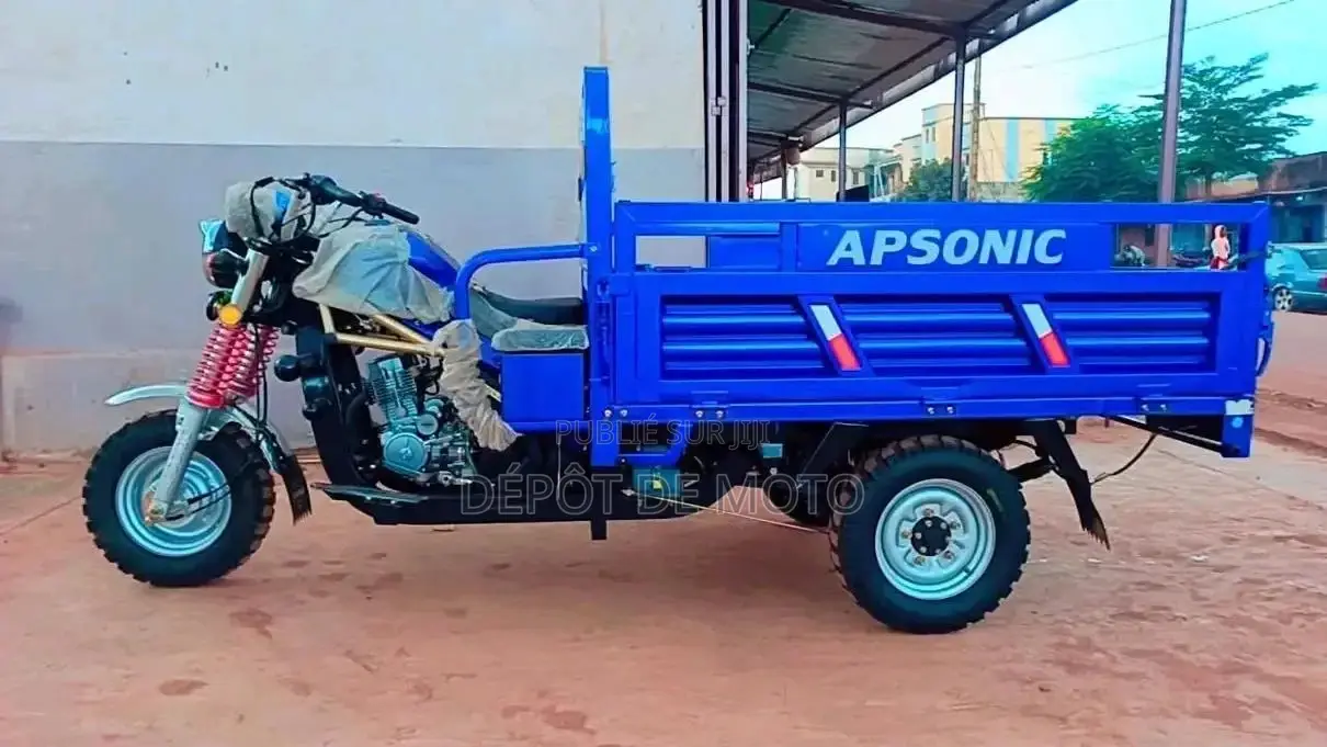 Nouveau Apsonic AP150ZH-175 2023 Bleu