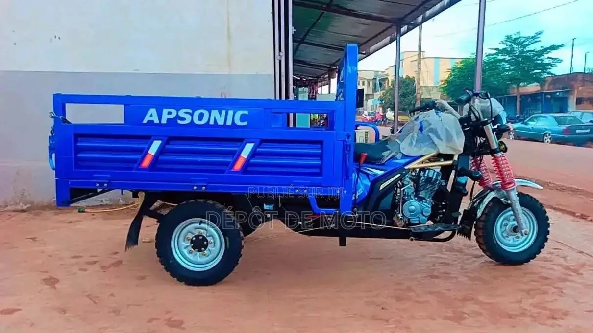 Nouveau Apsonic AP150ZH-175 2023 Bleu