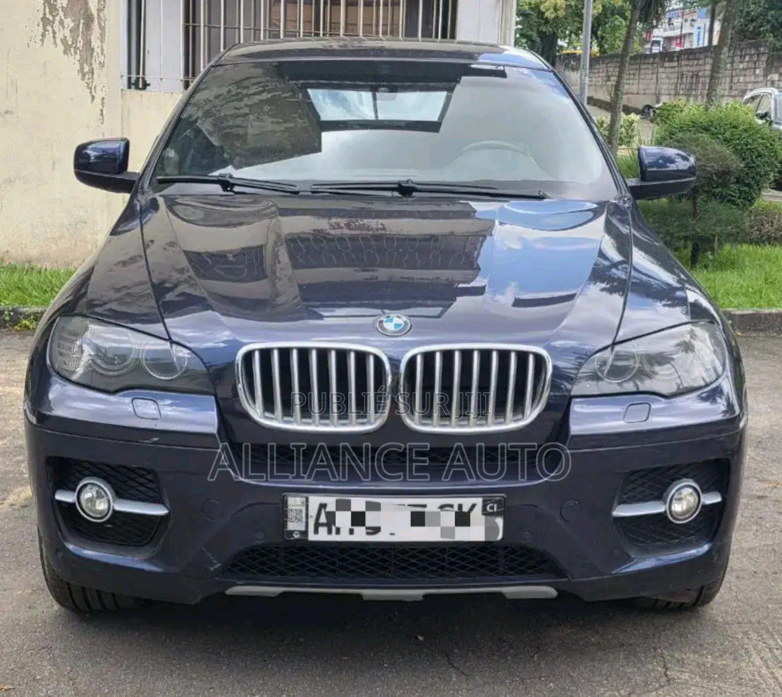 BMW X6 2011 Bleu