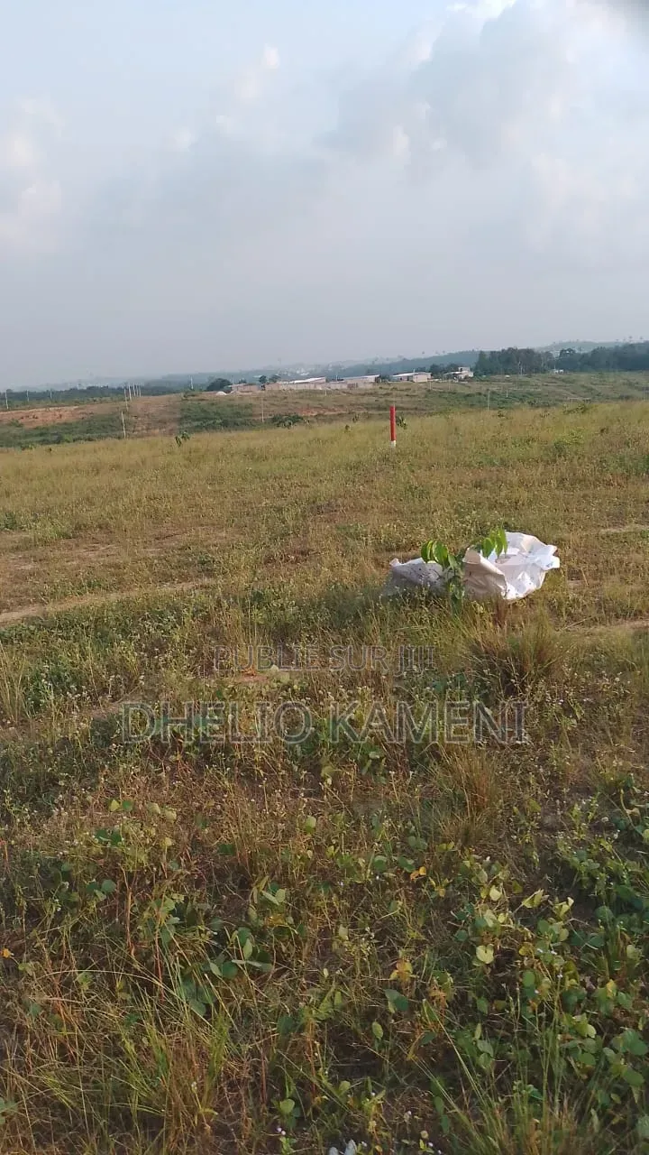 Opportunités De Terrains À Angré 12eme Tranche
