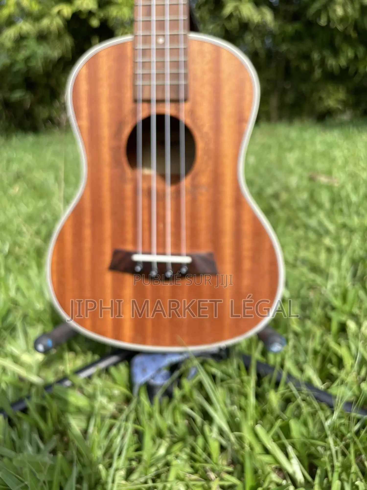 Ukulele BWS