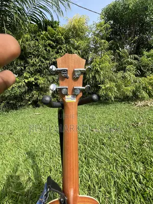 Ukulele BWS