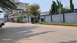 Terrain À Vendre Zone4 Bietry Abidjan