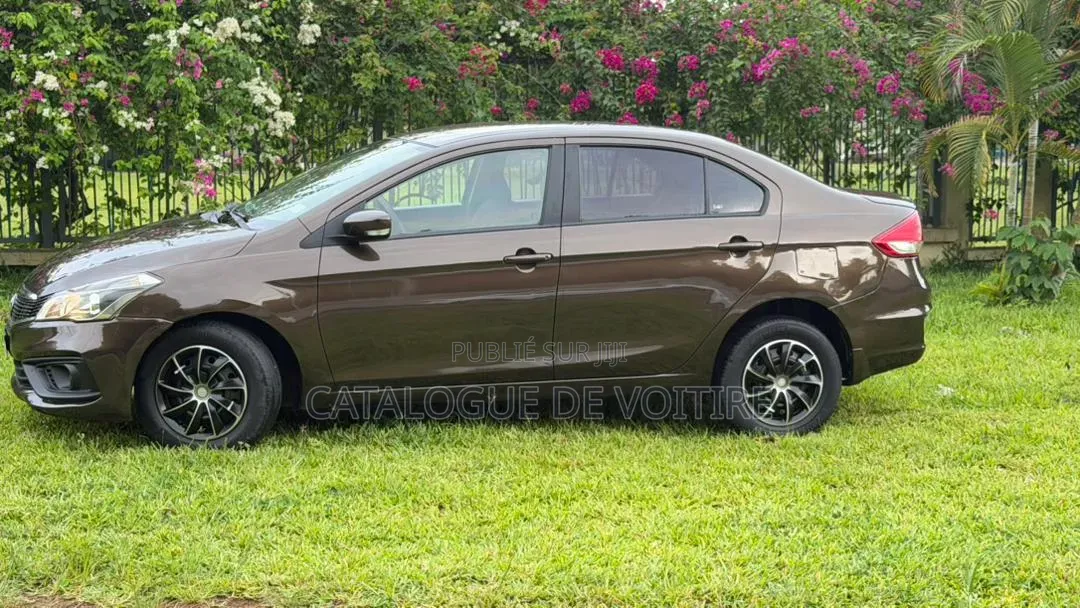 Toyota Belta 2023 Marron