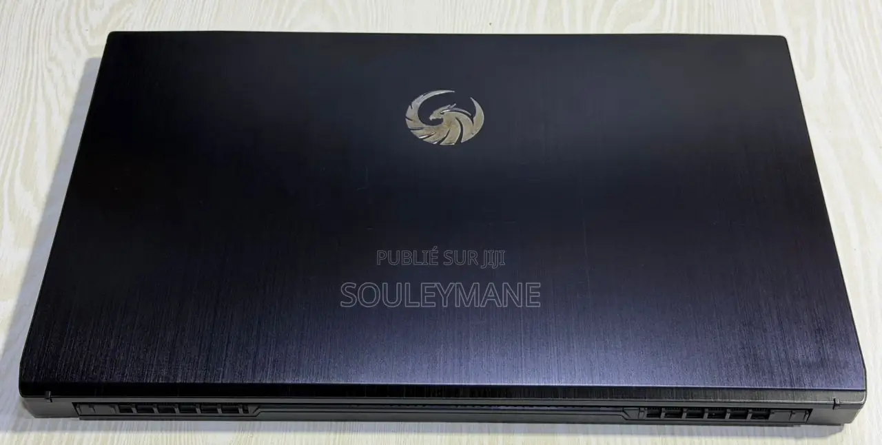 Ordinateur portable MSI Creator 17 B11UH-416 16GB AMD Ryzen 5 SSD 512GB