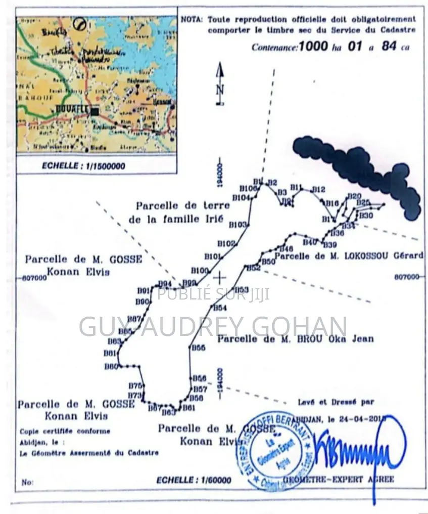Vente De 1.000 Hectares Avec Cf Disponible