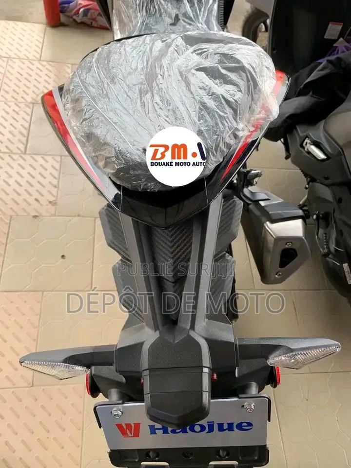 Nouveau Haojue DR300 2025 Noir