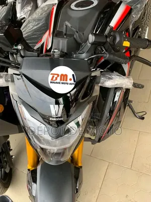 Nouveau Haojue DR300 2025 Noir