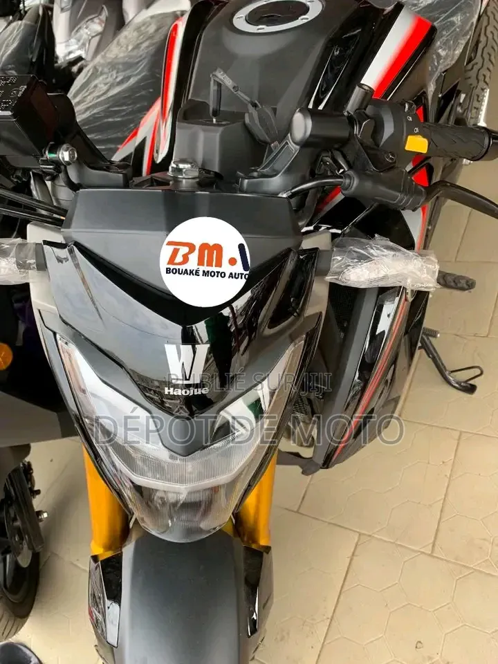 Nouveau Haojue DR300 2025 Noir